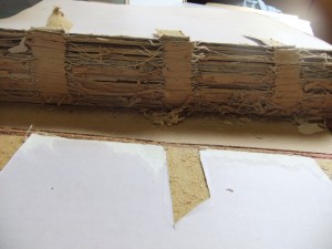 DSCF0677